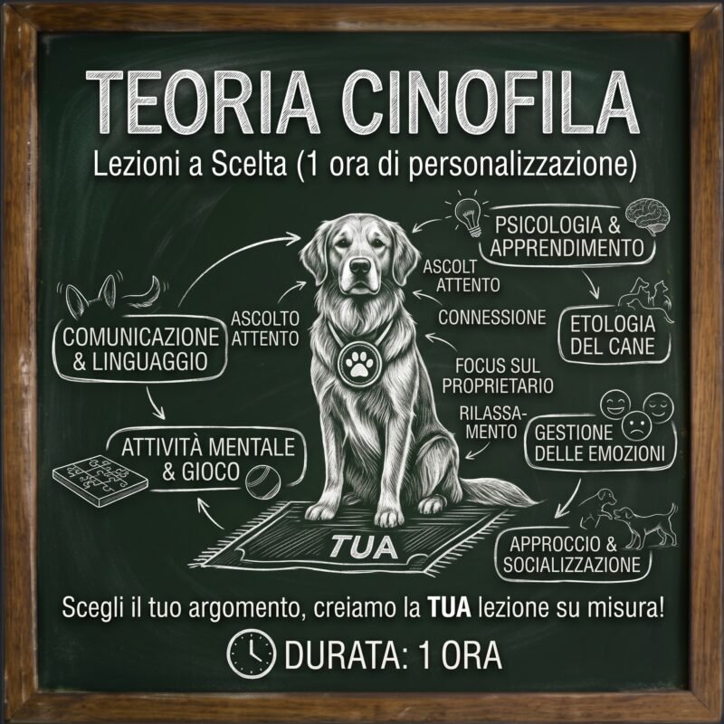 Consulenza Telefonica